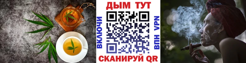 где купить наркоту  Устюжна  Еда ТГК конопля 