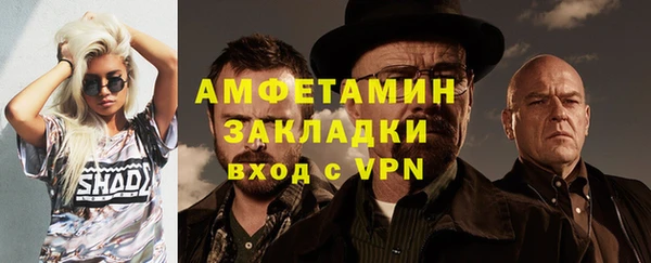 тгк Пересвет