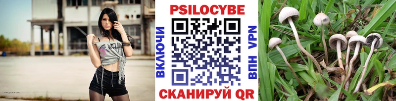 Галлюциногенные грибы Psilocybine cubensis  Устюжна 
